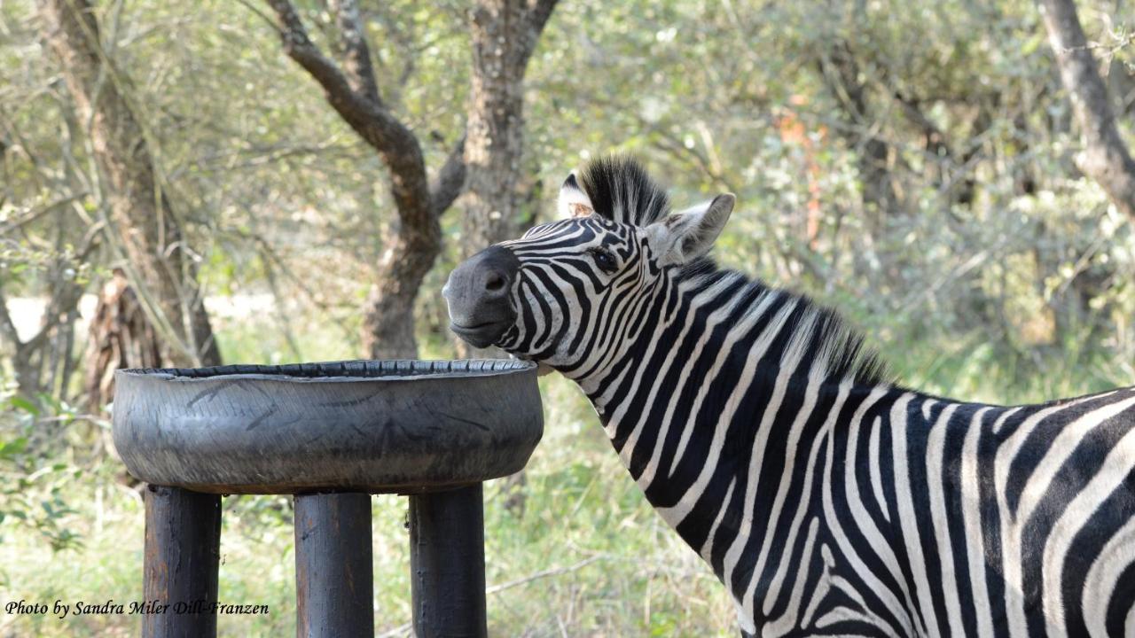 Ubuntu Bed And Breakfast Marloth Park Esterno foto